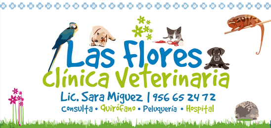 Clínica Veterinaria Las Flores